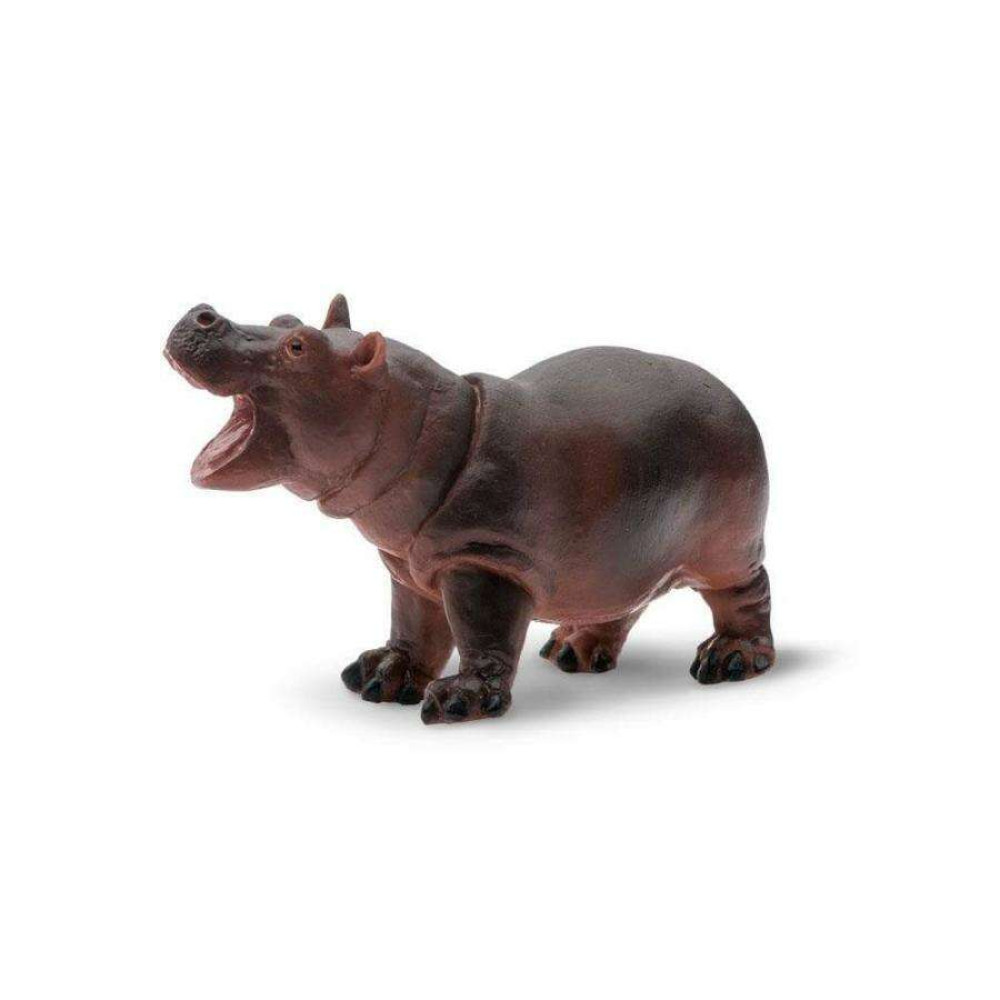 Safari Hippopotamus Baby Μωρό Ιπποπόταμος