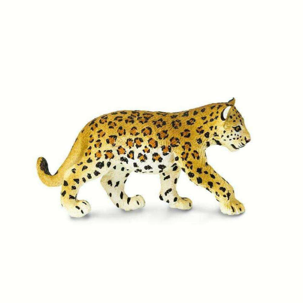 Safari Leopard Cub Νεαρή Λεοπάρδαλη