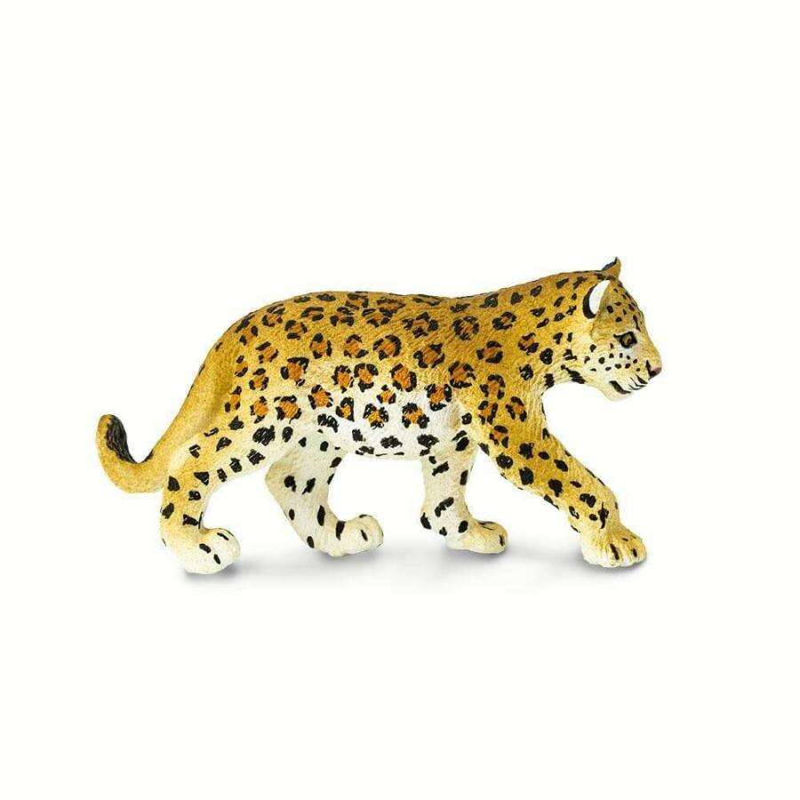 Safari Leopard Cub Νεαρή Λεοπάρδαλη